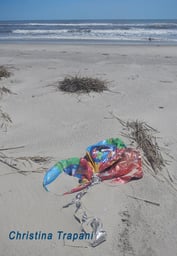 Graduation balloons on a remote barrier island of Virginia's eastern shore.